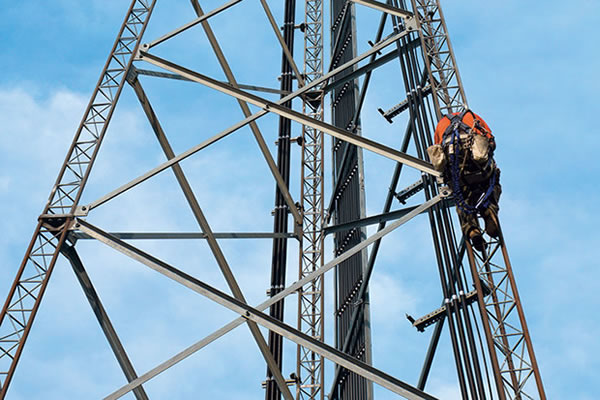 Working at Tower Training